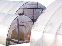 Folie pentru uz general transparenta 0.12 mm 8.5x60 Sul 510 m2